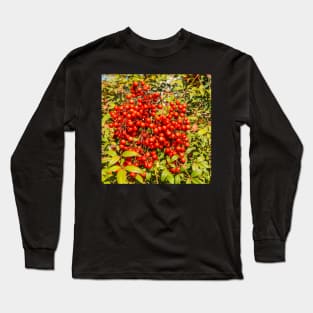 Berries Long Sleeve T-Shirt